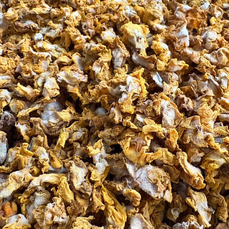 Königskerzenblüten Pferd - Hustenkräuter für Pferde - Schleimlöser Pferd