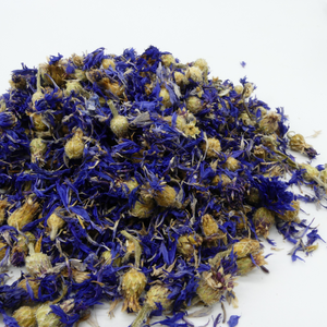 Kornblume Pferd ganze Blüte für Immunsystem und Verdauung