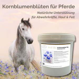 Kornblume Pferd 1kg