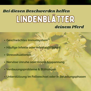 Lindenblätter Pferd für Immunsystem und Verdauung