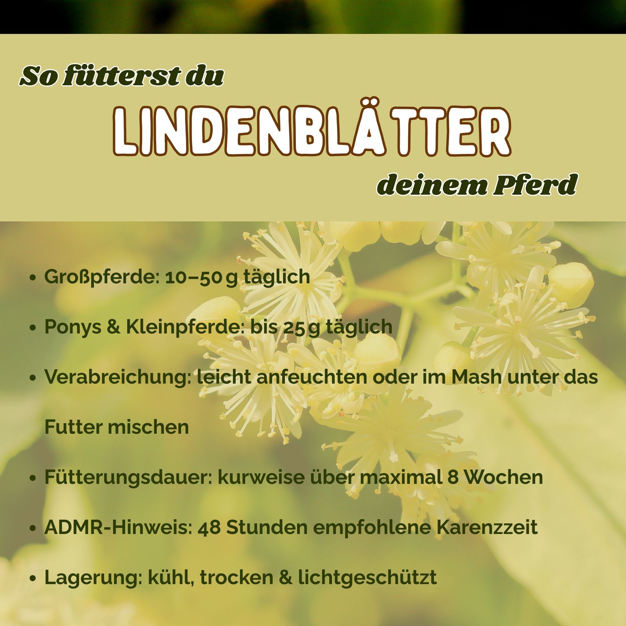 Lindenblätter Pferd für Immunsystem und Verdauung