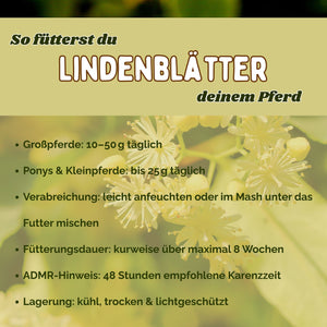 Lindenblätter Pferd für Immunsystem und Verdauung