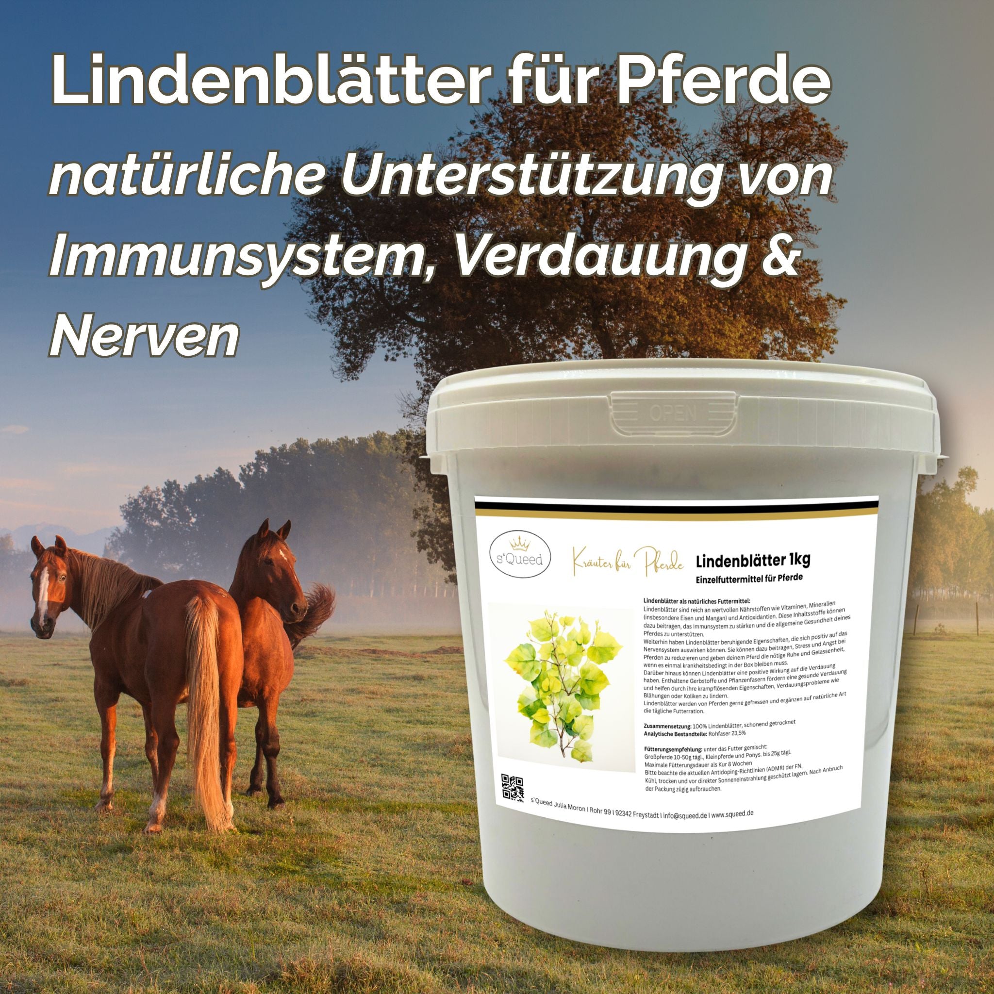 Lindenblätter Pferd für Immunsystem und Verdauung