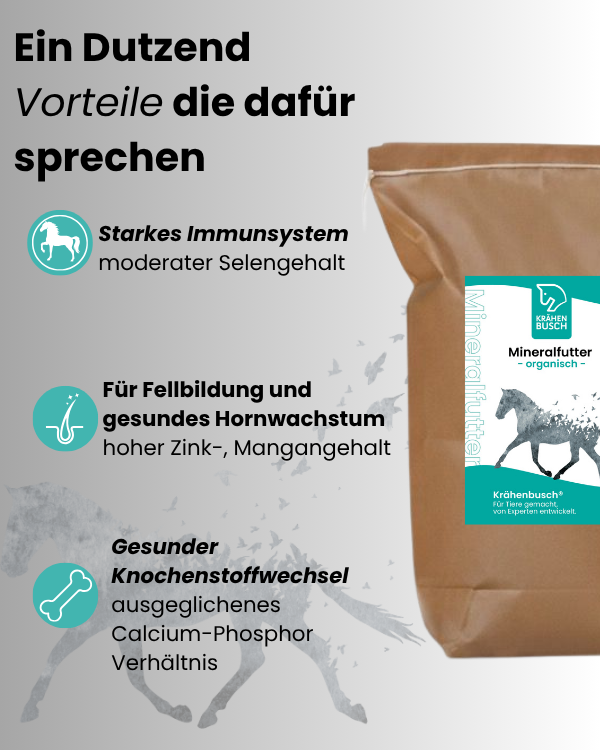 Mineralfutter organisch