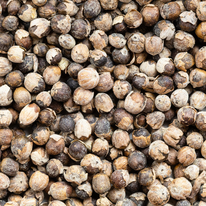 Mönchspfeffer Pferd - natürliche Hilfe bei rossigen Stuten