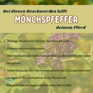 Mönchspfeffer Pferd - natürliche Hilfe bei rossigen Stuten