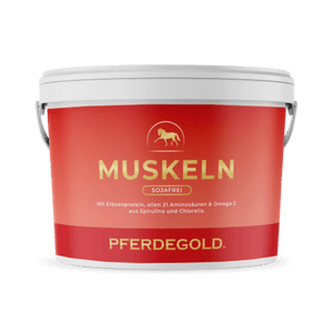 Muskeln 2.0 Sojafrei