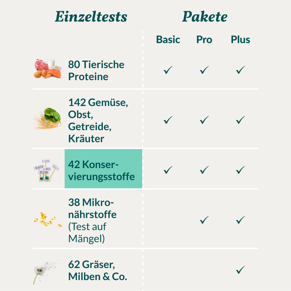 Allergietest - Konservierungsstoffe Katze