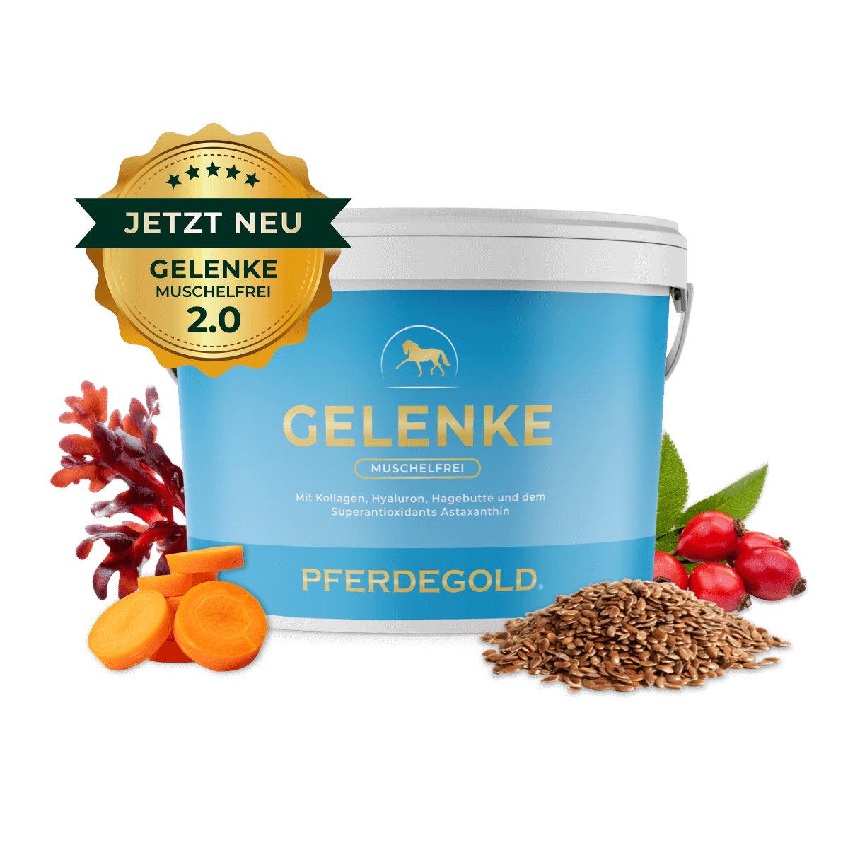 Gelenke Muschelfrei 2.0