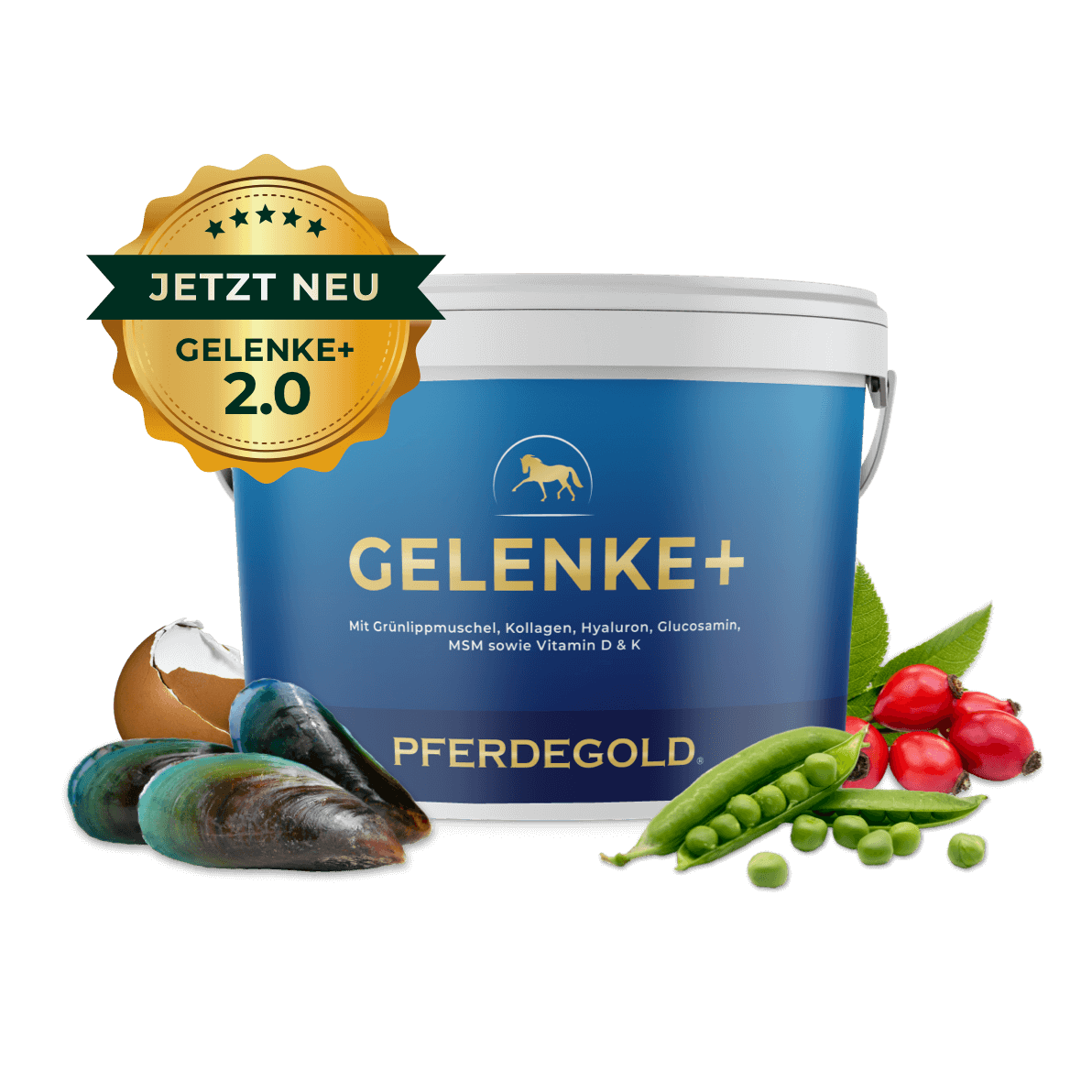 Gelenke+ 2.0