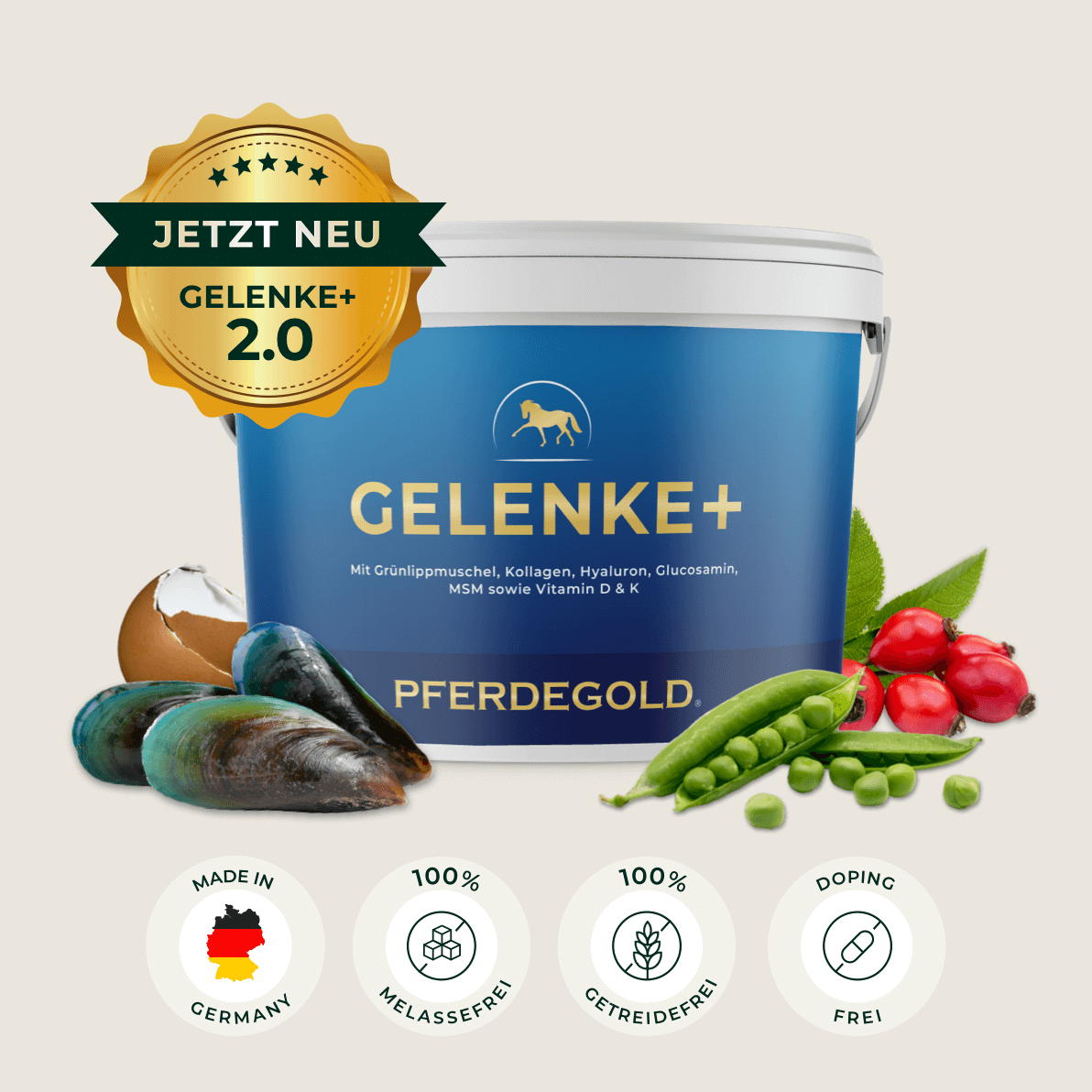 Gelenke+ 2.0