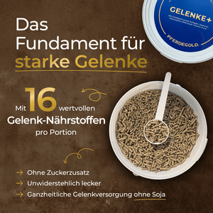 Gelenke+ 2.0