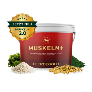 Muskeln+ 2.0