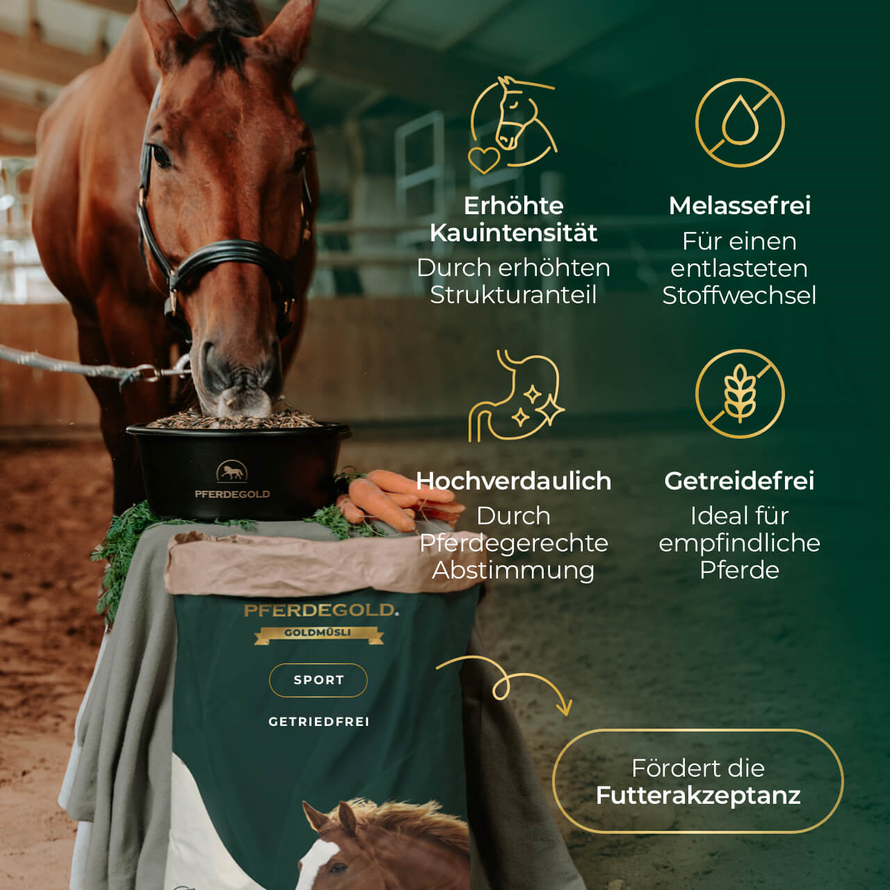 Goldmüsli® Sport Getreidefrei