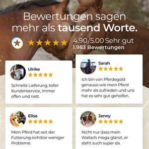 Goldmüsli® Sport Getreidefrei