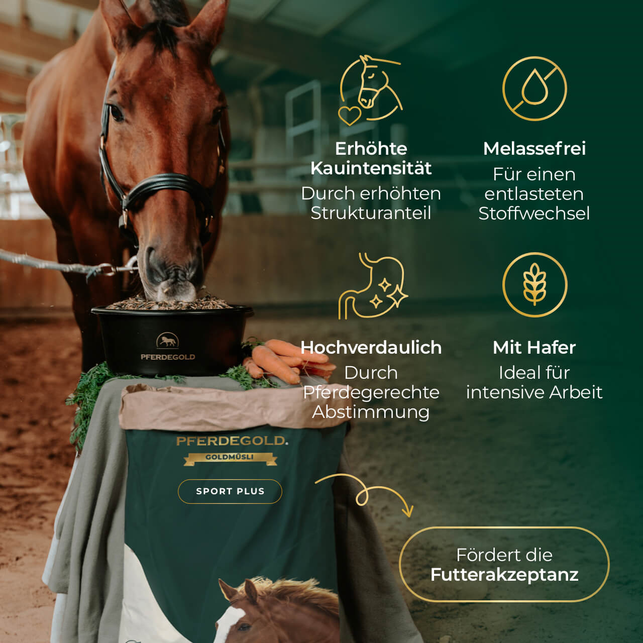 Goldmüsli® Sport Plus