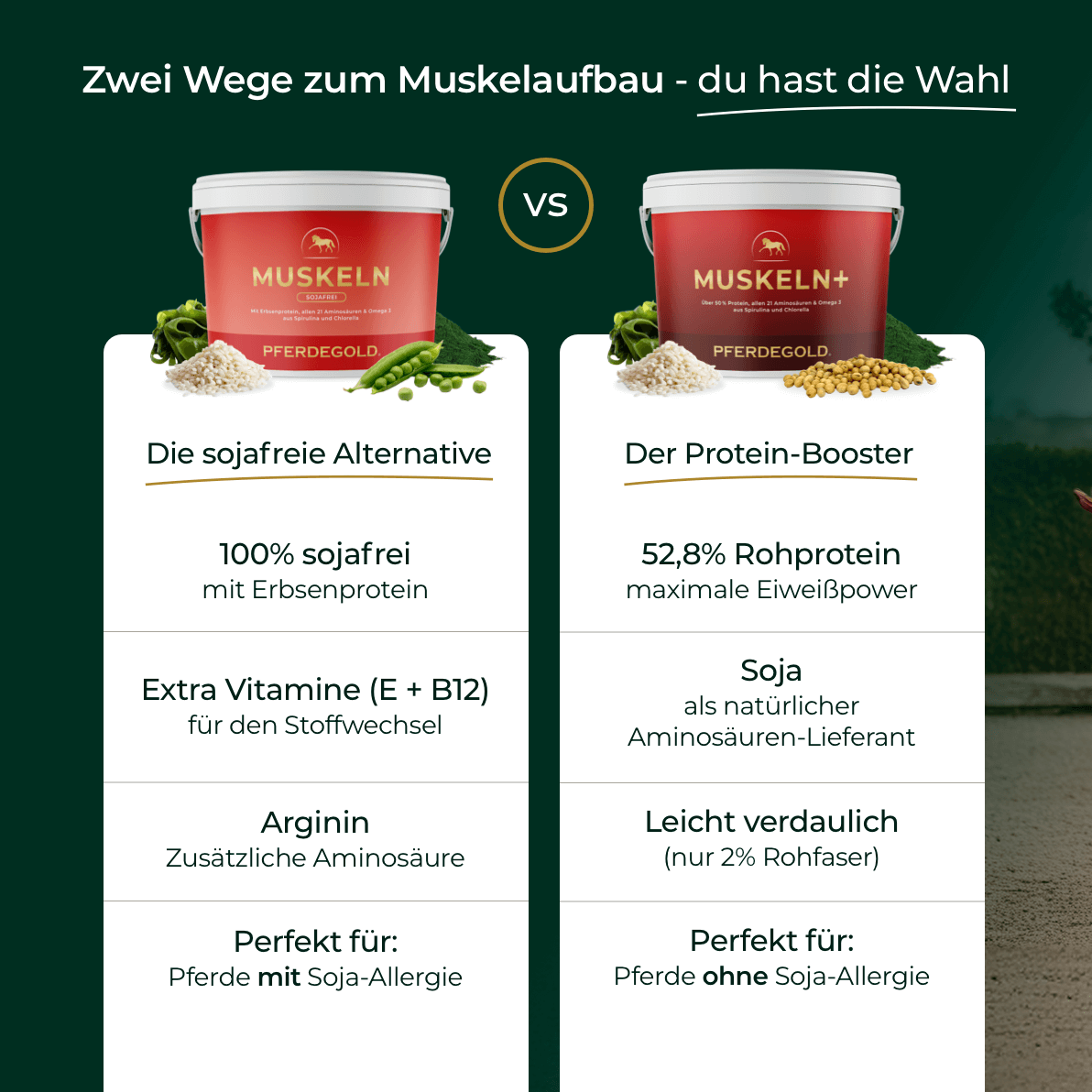 Muskeln 2.0 Sojafrei