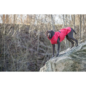 Regenmantel Vimy für Hunde
