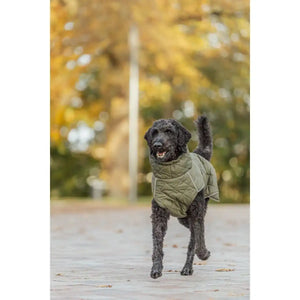 Hundemantel Minot