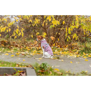 Geschirr-Mantel Pontis Rain