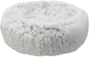 Bett Harvey