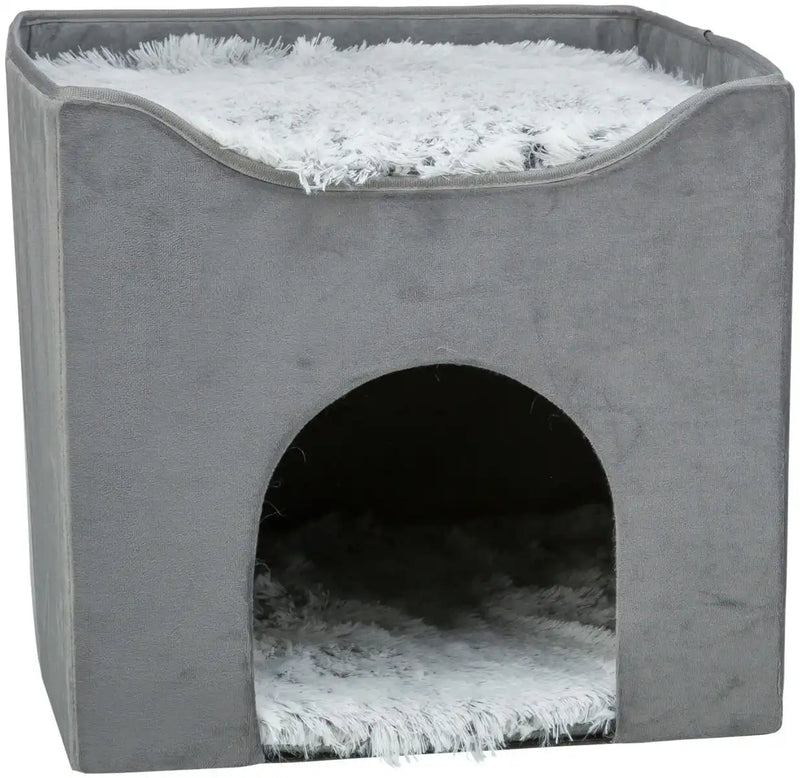 Höhle Harvey