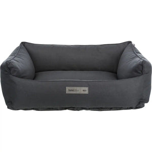 Bett Farello