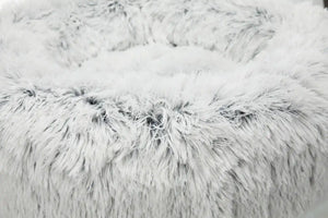 Bett Harvey
