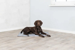 Kühlmatte Soft