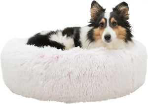 Bett Harvey