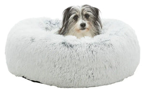 Bett Harvey
