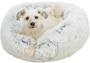 Bett Harvey