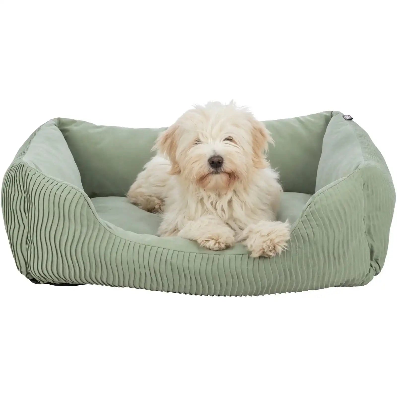 Bett Marley