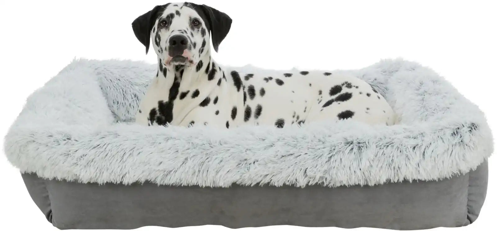 Bett Harvey