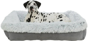 Bett Harvey