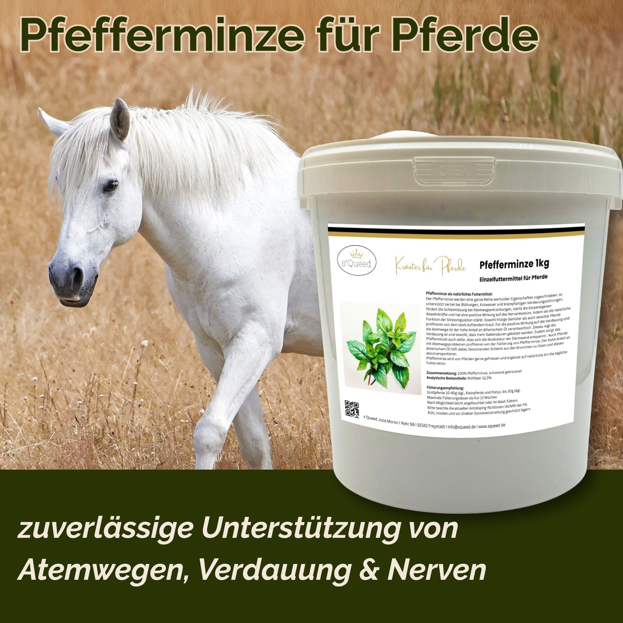 Pfefferminze Pferd - Hustenkräuter, Darmkräuter und Nervenkräuter für Pferde