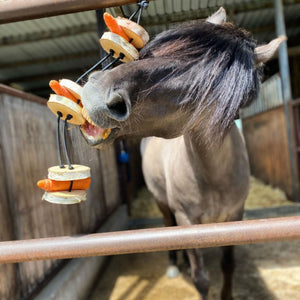 Pferdespielzeug Mini-Tarzan - Spielzeug für Pferde und Ponys gegen Langeweile - Pferdebeschäftigung