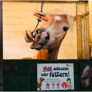 Pferdespielzeug Möhren-Tarzan – Spielzeug für Pferde gegen Langeweile – Pferdebeschäftigung