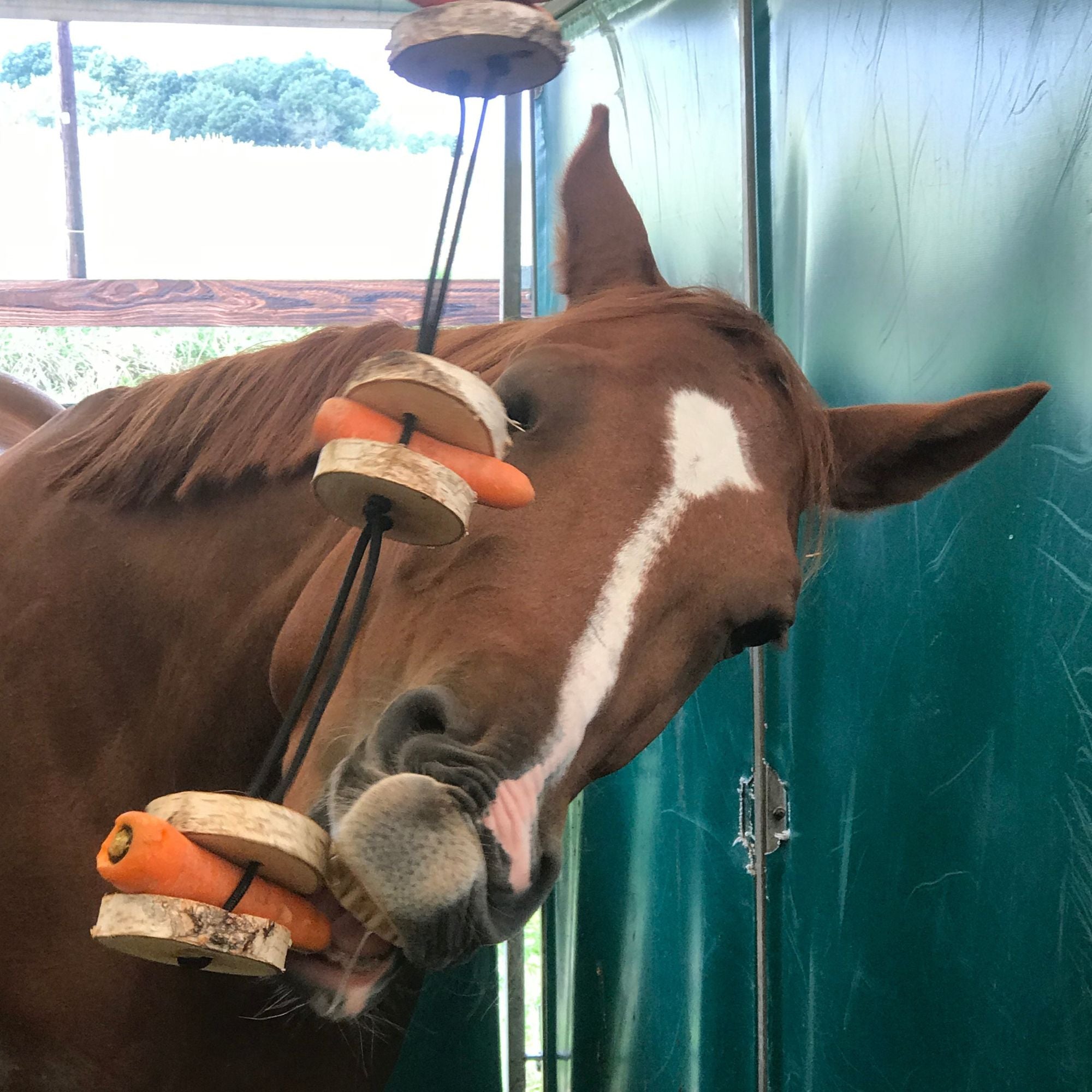 Pferdespielzeug Möhren-Tarzan – Spielzeug für Pferde gegen Langeweile – Pferdebeschäftigung
