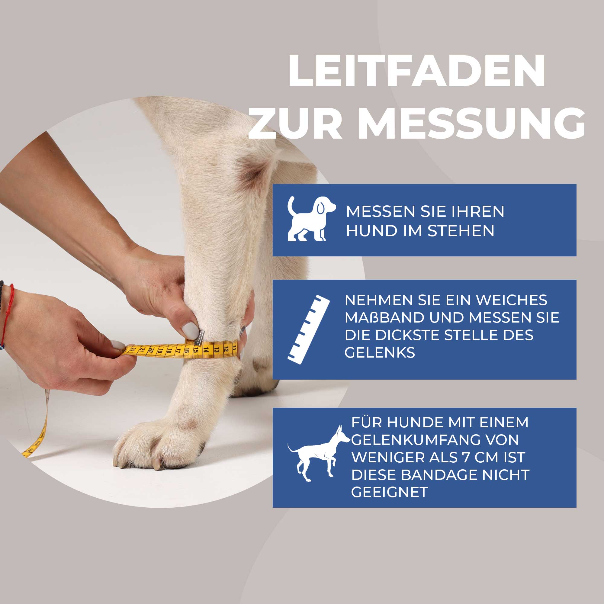 Stabilisierungs Handgelenkbandage für Hunde
