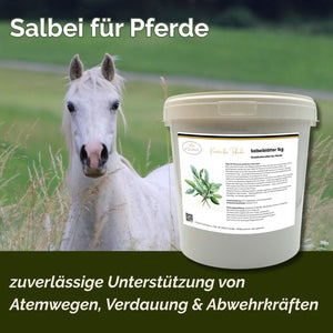 Salbei Pferd 1kg