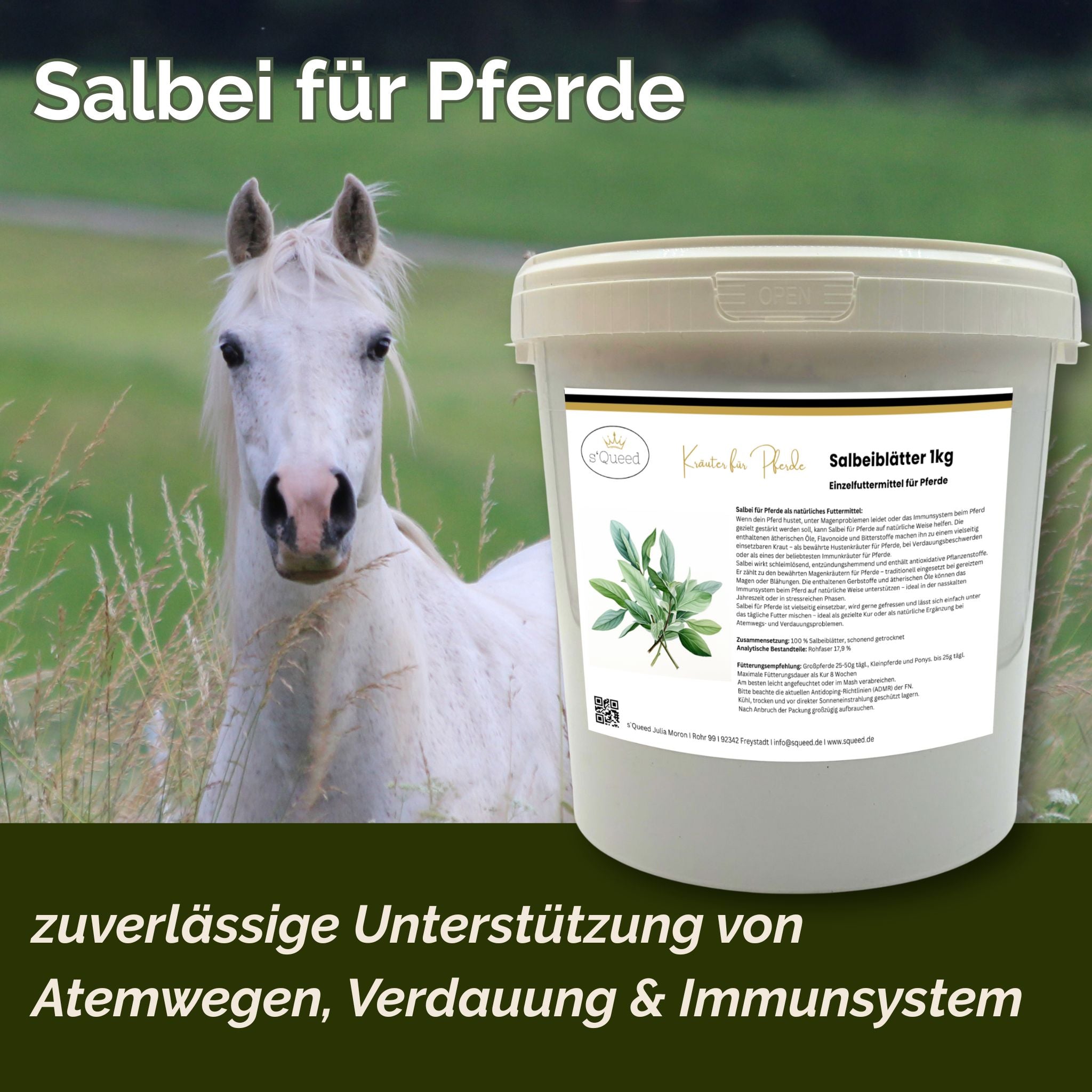 Salbei Pferd - Hustenkräuter für Pferde - Magenkräuter & Immunkräuter