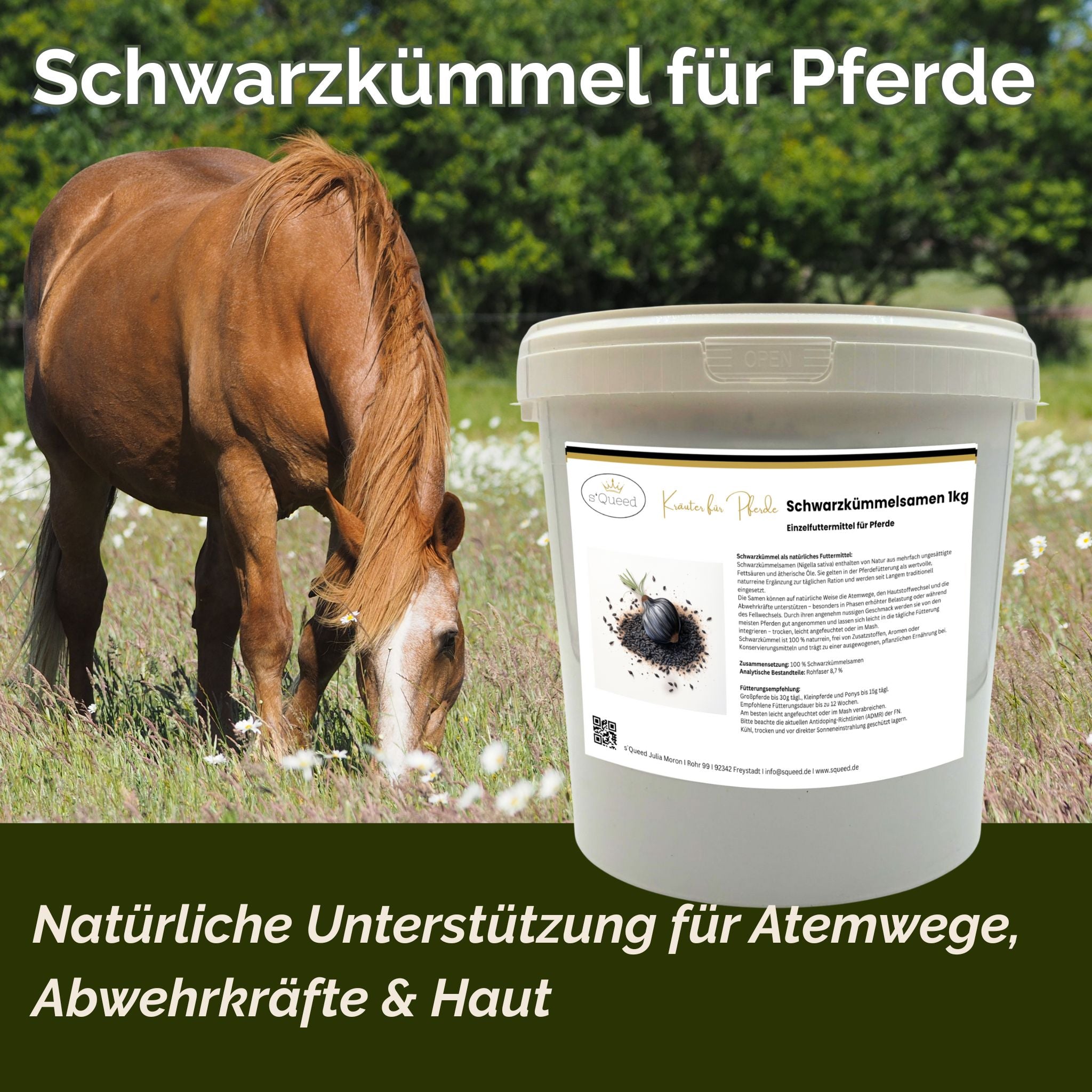 Schwarzkümmel Pferd 1kg