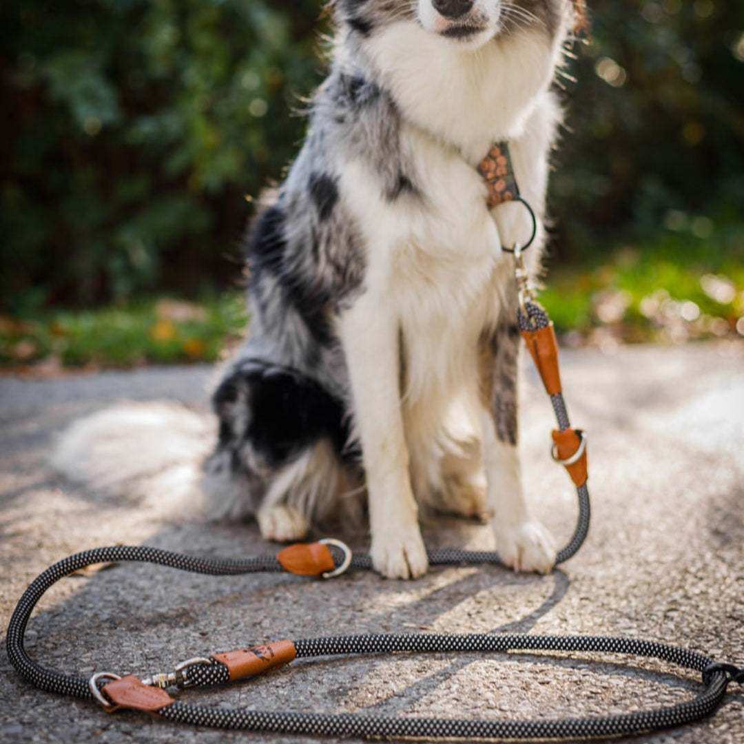 Reflektionsleine GLOW stark reflektierend längenverstellbar und vegan