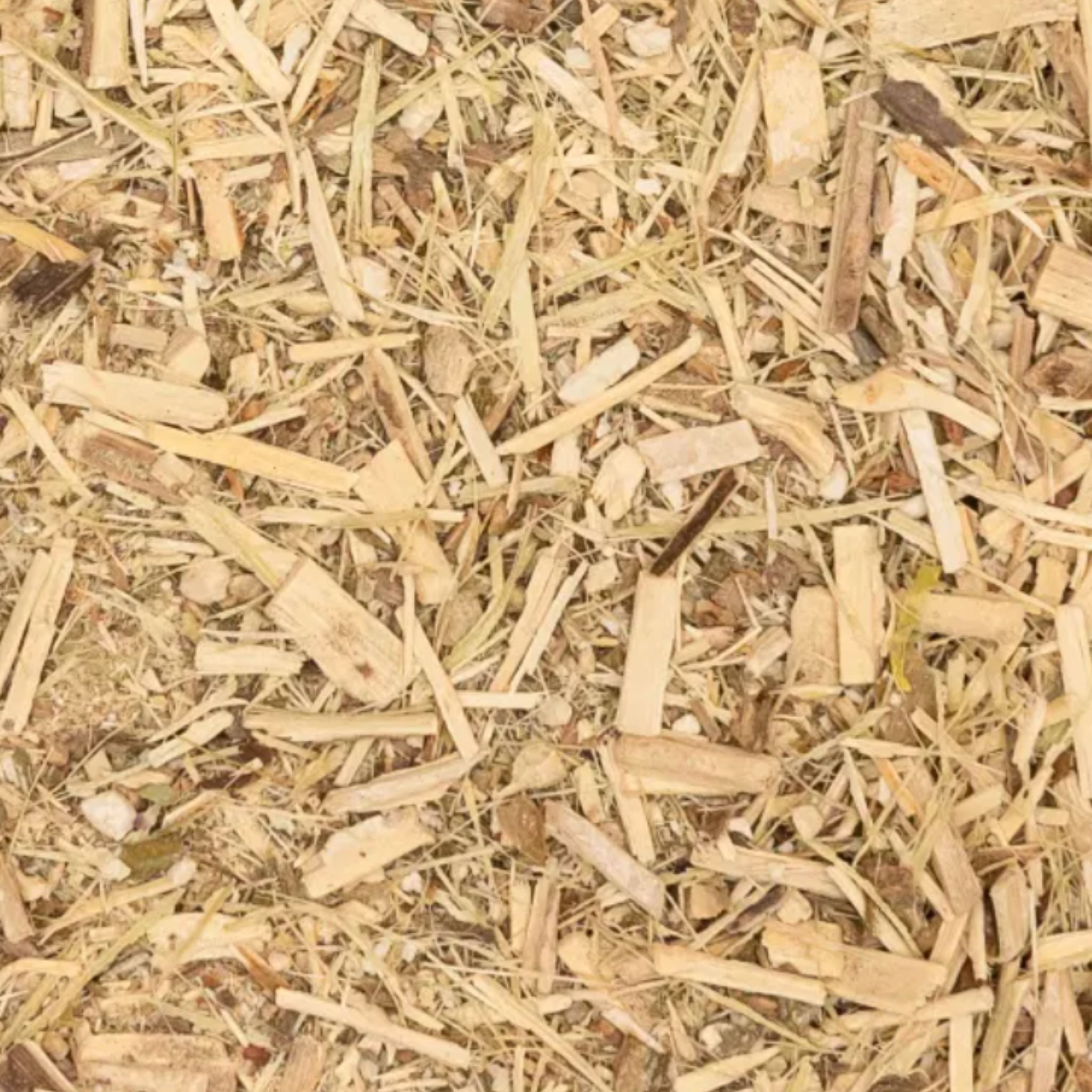 Taigawurzel Pferd - Immunsystem Pferd stärken