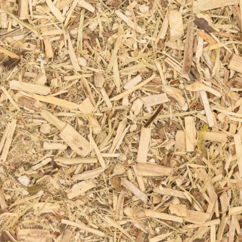 Taigawurzel Pferd - Immunsystem Pferd stärken