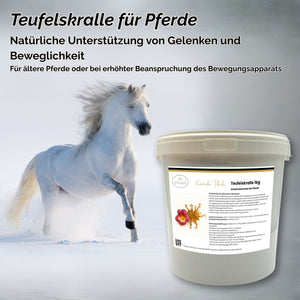 Teufelskralle Pferd geschnitten 1kg