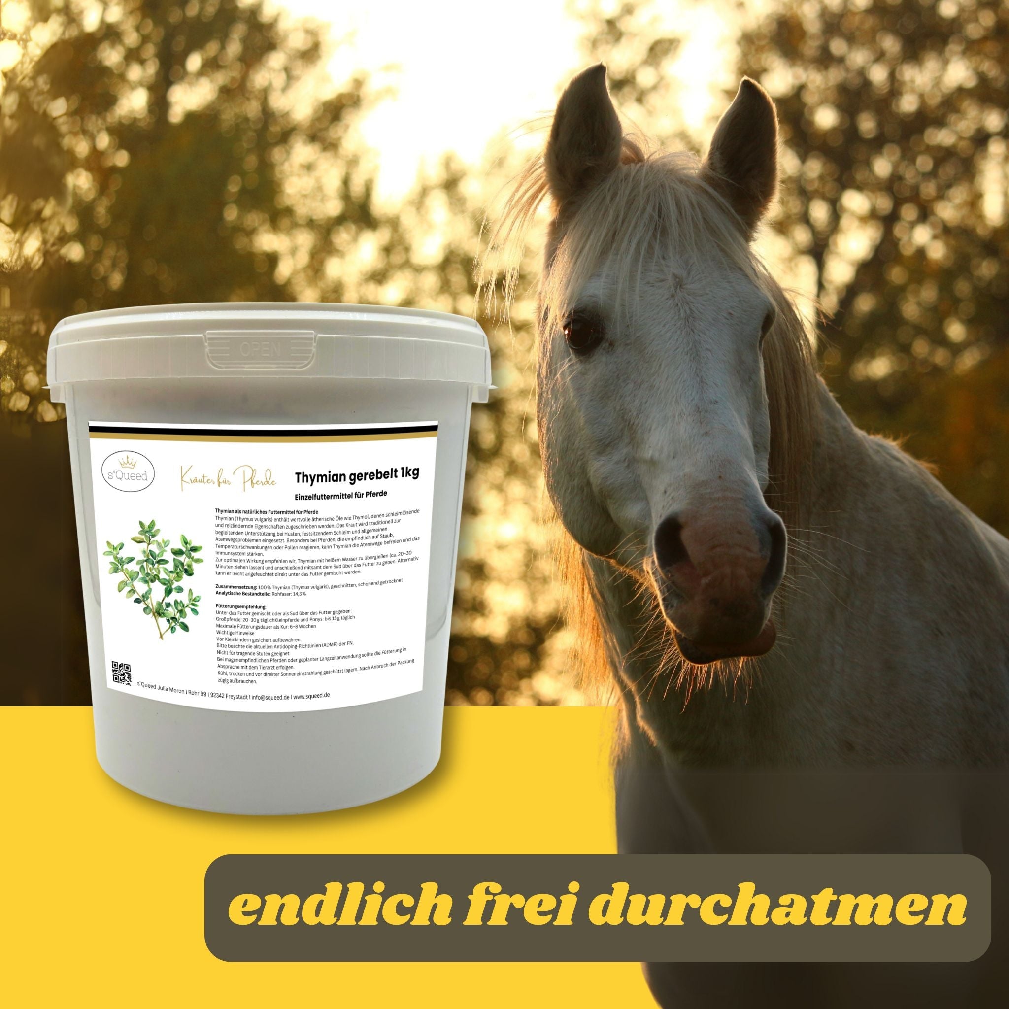 Thymian Pferd - Hustenkräuter für Pferde - Schleimlöser Pferd