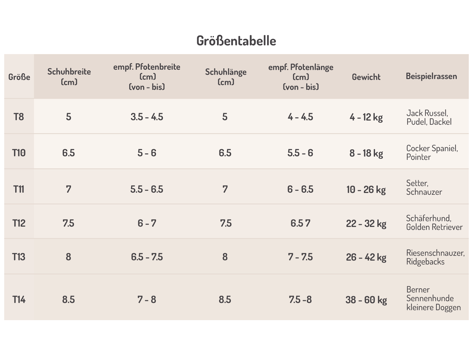 Hundeschuhe TOFFLER Pfotenschutz