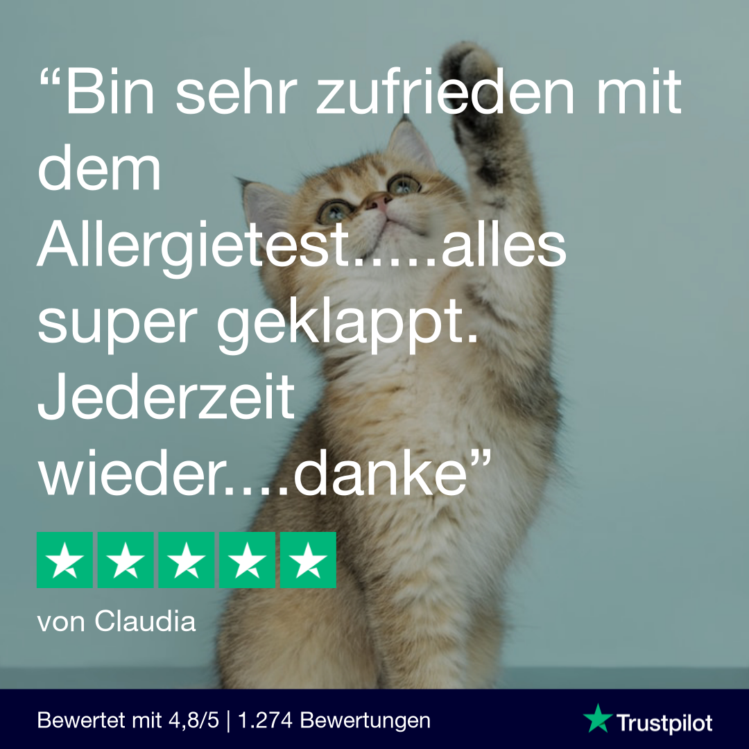 Allergietest Plus Katze